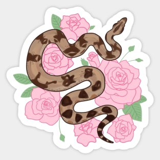 Boa Constrictor and Roses Sticker